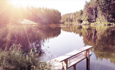 西安郵電大學 秦嶺危險野生動物攝影虛擬仿真實驗