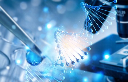 南京航空航天大學(xué) 腦神經(jīng)元網(wǎng)絡(luò)電信號微電極采集與分析虛擬仿真實驗