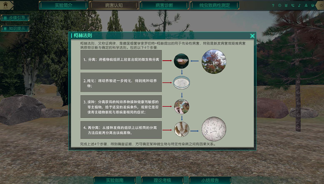 微生物學虛擬仿真實驗