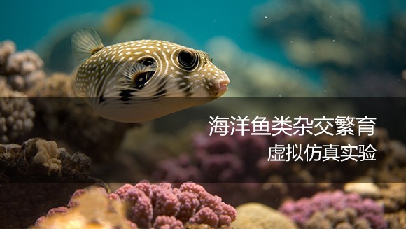 河海大學(xué) 海洋魚類雜交繁育虛擬仿真實(shí)驗(yàn)