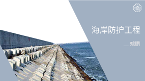 河海大學(xué) 海平面上升環(huán)境下的海堤防護(hù)虛擬仿真實(shí)驗(yàn)