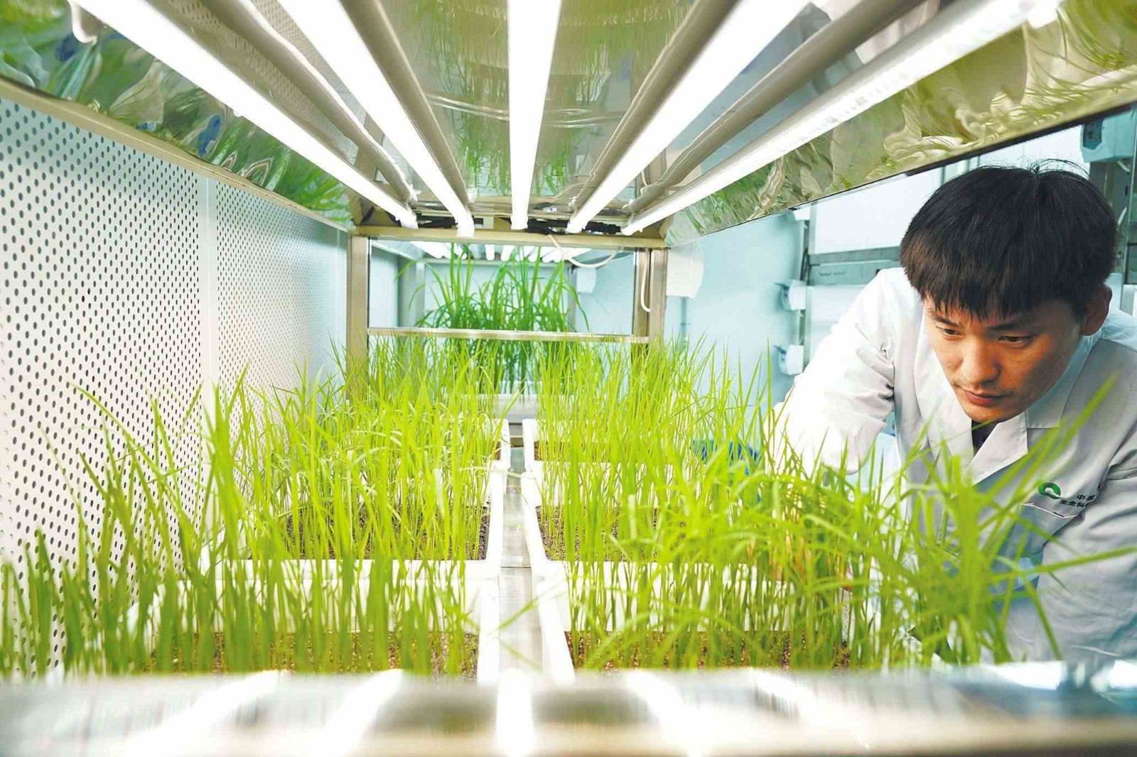 “廣闊天地大有可為” —恒點虛擬仿真助力高校新農(nóng)科人才培養(yǎng)   