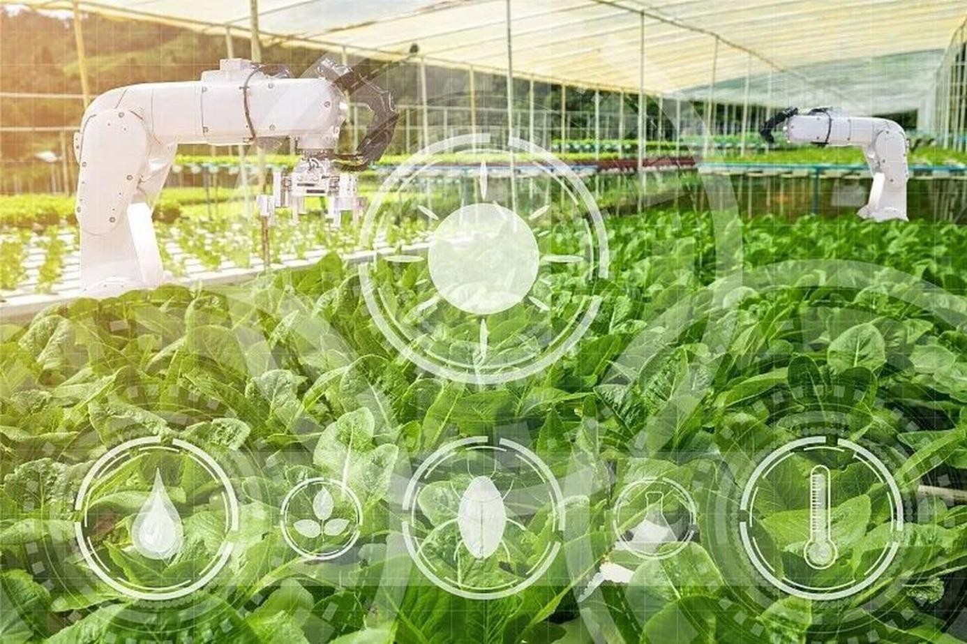 作為新質(zhì)生產(chǎn)力的代表，虛擬仿真技術(shù)助力生態(tài)農(nóng)業(yè)發(fā)展