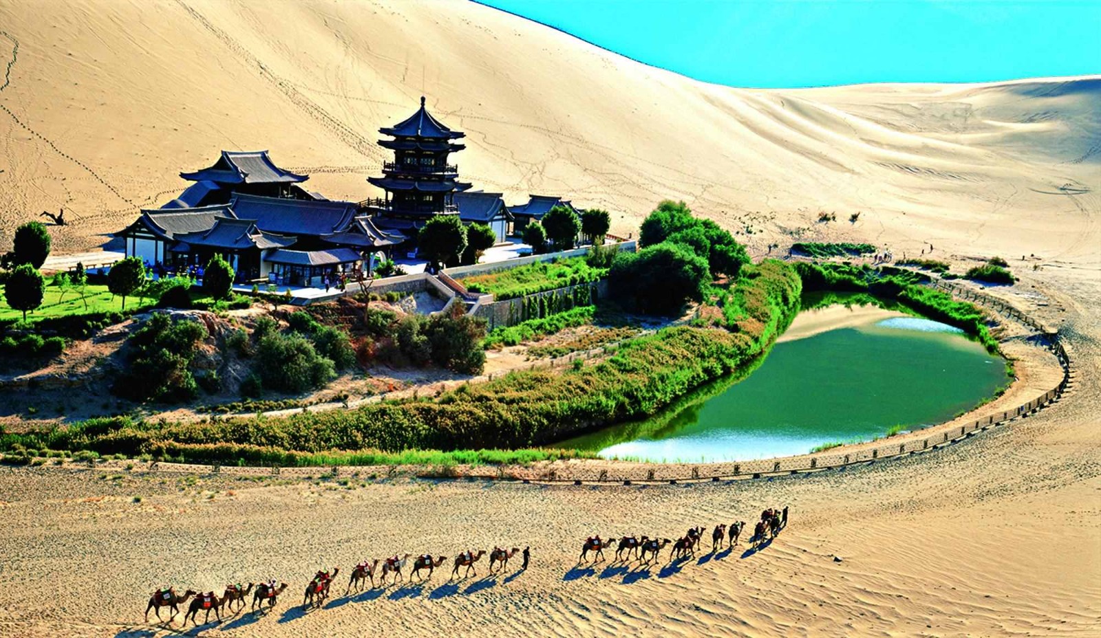 案例分享|沙生植物生理學(xué)參數(shù)測定及水分管理的虛擬仿真實(shí)驗(yàn)