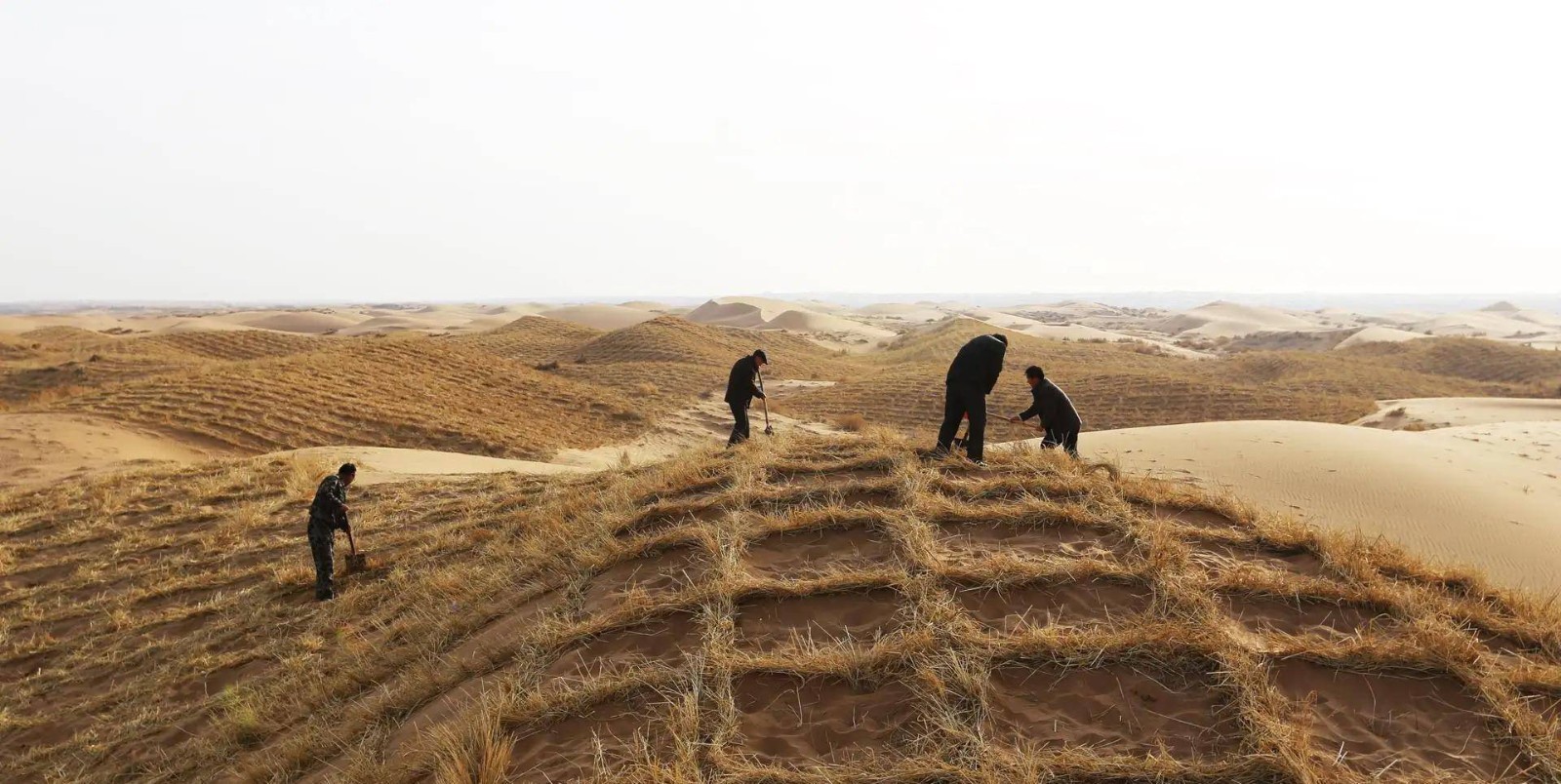 綠進(jìn)沙退、點(diǎn)沙成金，虛擬仿真拓寬綠色發(fā)展新空間