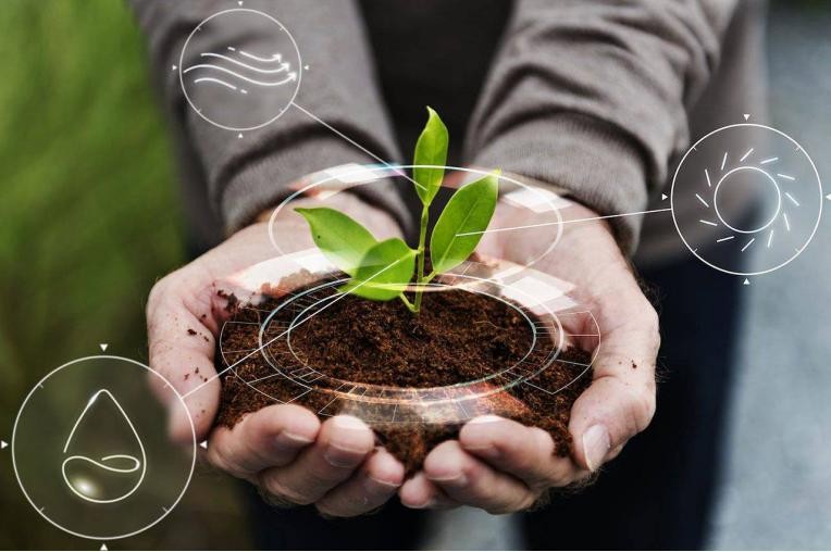 虛擬仿真實驗|重塑蘇薄荷智能種植管理學習