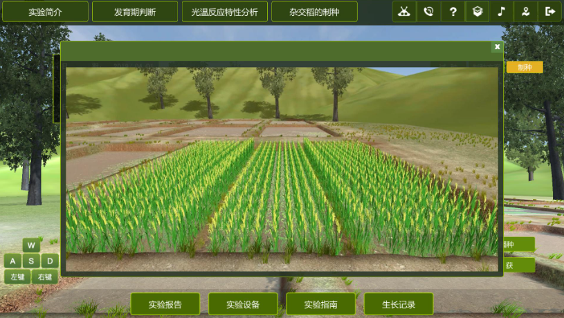 虛擬仿真實(shí)訓(xùn)教學(xué)的現(xiàn)狀、應(yīng)用及發(fā)展趨勢(shì)