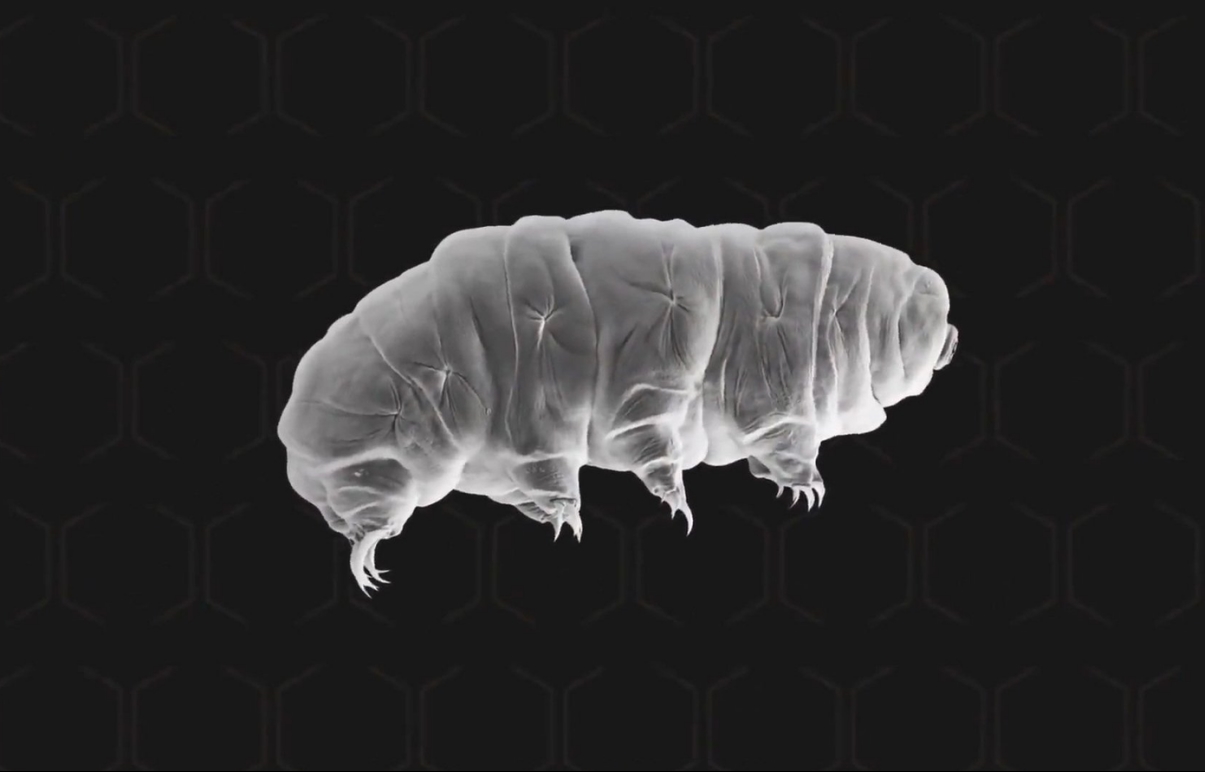 深海嗜極微生物已成為生命科學(xué)領(lǐng)域的研究熱點(diǎn)之一