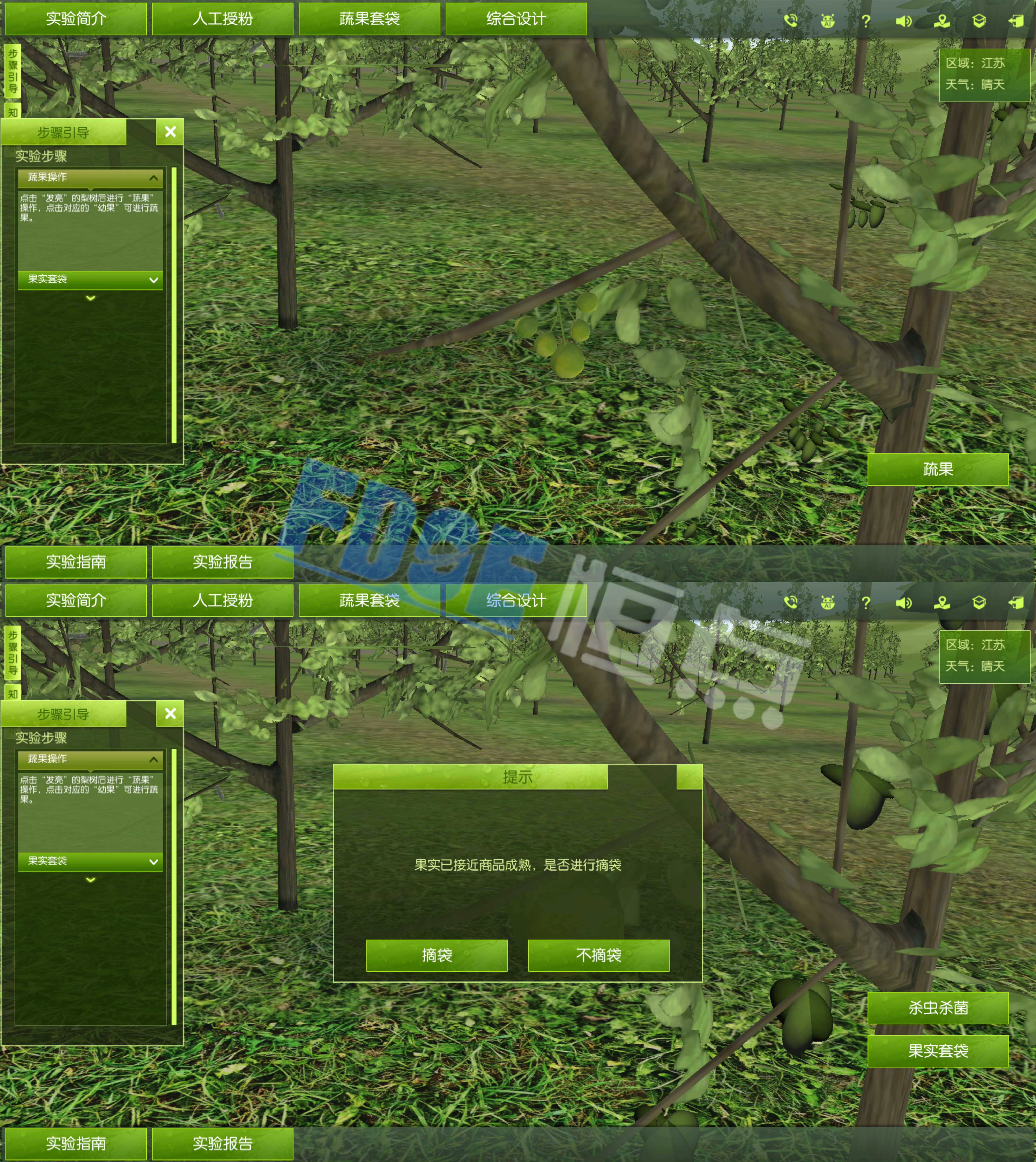 梨花果蔬果套袋虛擬仿真實驗