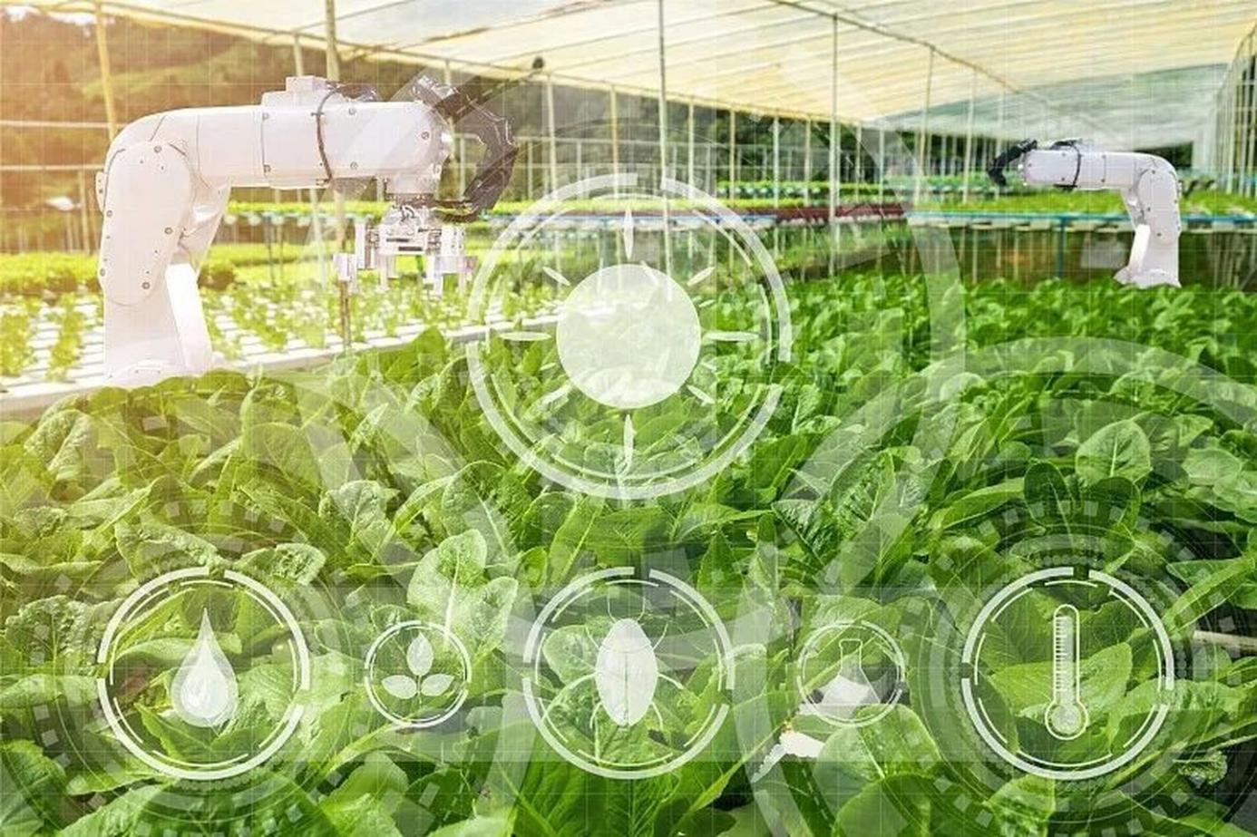 我國是農業(yè)大國，中華文明是農耕文明