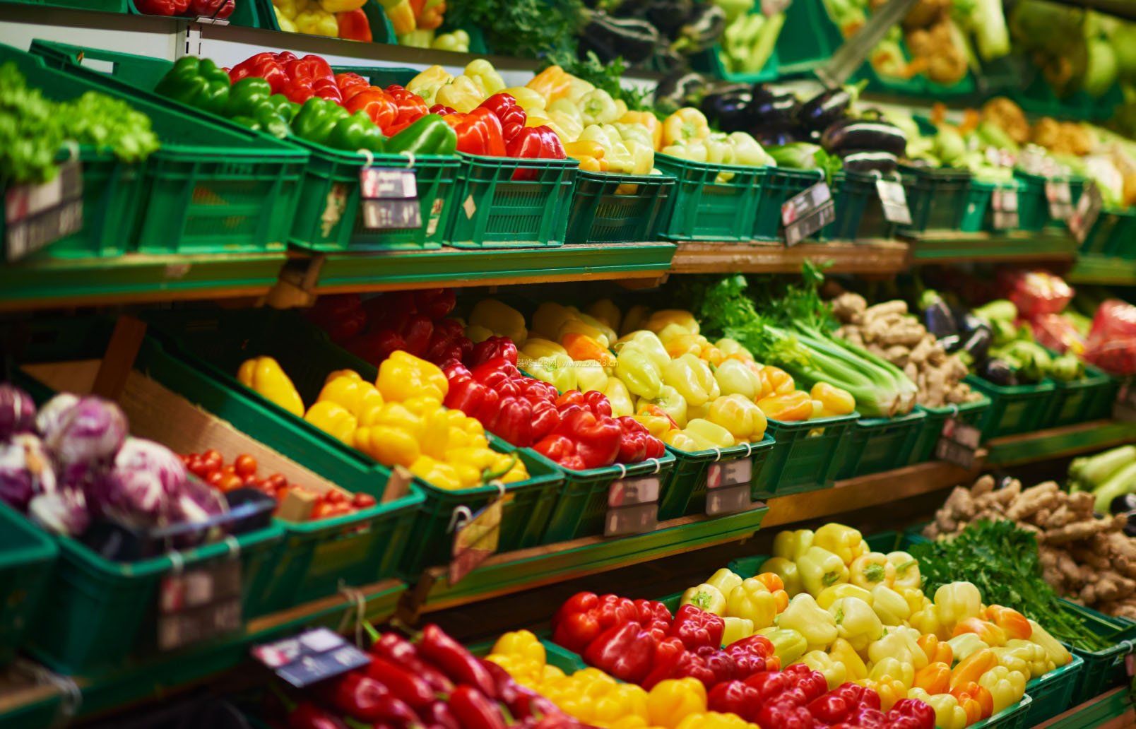 推動(dòng)食品工業(yè)企業(yè)培育新質(zhì)生產(chǎn)力，構(gòu)建現(xiàn)代化健康食品產(chǎn)業(yè)體系是業(yè)內(nèi)企業(yè)關(guān)心的重要議題