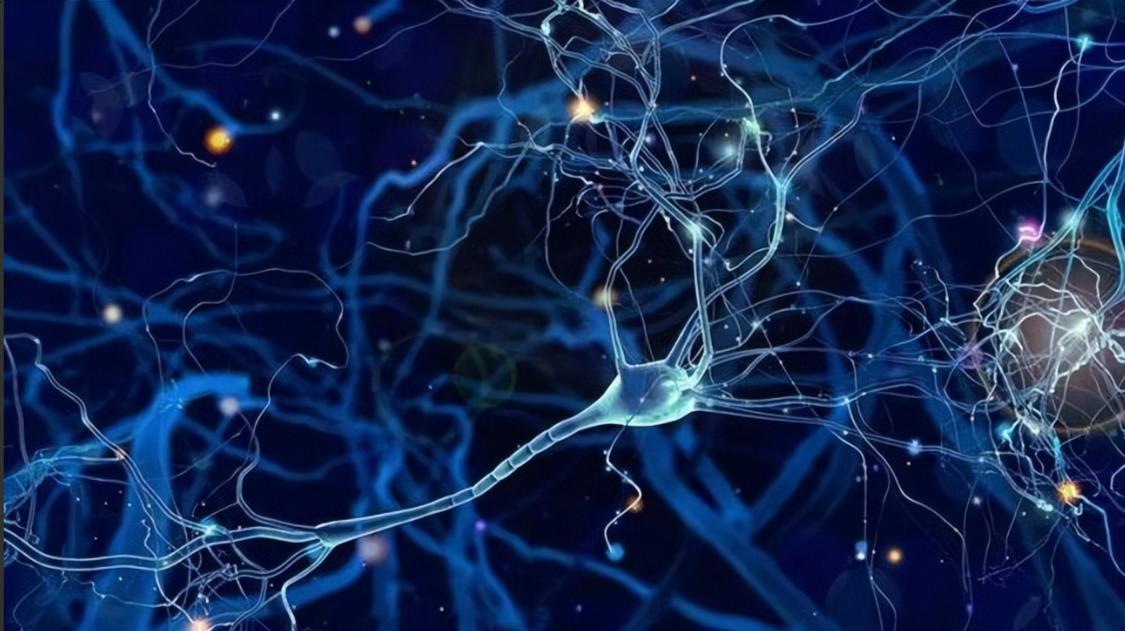 這些微觀且復雜的機理往往難以直觀呈現(xiàn)。