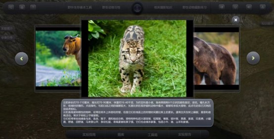 虛擬仿真課程中對(duì)野生動(dòng)物習(xí)性介紹的模塊