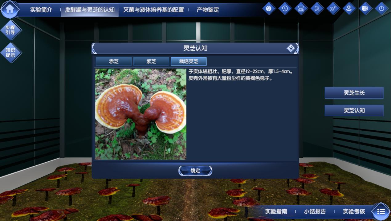 靈芝發(fā)酵生產(chǎn)虛擬仿真